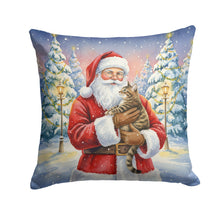 Load image into Gallery viewer, Mackerel Tabby Brown Cat with Santa Claus Throw Pillow