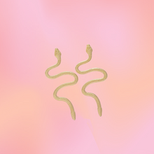 Load image into Gallery viewer, “Snakes and Stones Never Broke my Bones” Titanium Snake Earrings